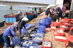 Exports of aquatic products estimated at 4.3 bln USD