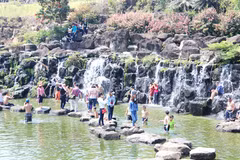 Dong Nai welcomes 2 million visitors in six months