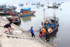 Ha Tinh to complete marine environment incident compensation in June