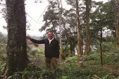 Man spends years to grow forest 