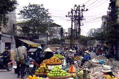 Street vendor spaces on paper, not concrete