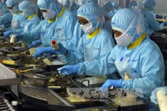 Price of material shrimp increases in August