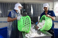 Ben Tre aims to fetch 400 million USD from exports