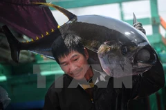 Farmed seafood exports likely to hit 30-35 billion USD by 2030