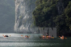 Lan Ha Bay – marine tourist magnet of Vietnam