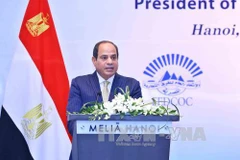 Vietnamese, Egyptian firms explore cooperation opportunities