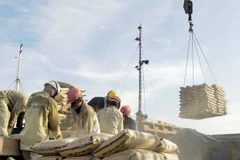 Cement export tax burdens domestic firms