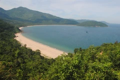 Central Da Nang City targets world status