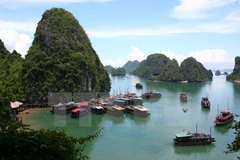 Quang Ninh sets new sightseeing fees in Ha Long Bay