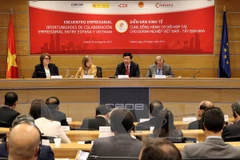 Deputy PM chairs Vietnam-Spain business forum 
