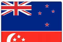 Singapore, New Zealand consolidate defence ties 