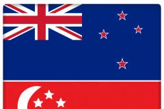 Singapore, New Zealand consolidate defence ties 