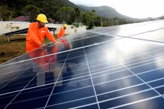 Hau Giang promotes cooperation with RoK firms