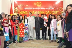 Vietnamese in Cambodia, Egypt celebrates traditional New Year