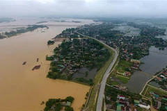 Government provides rice for flood-hit Nghe An province