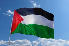 Vietnam supports solidarity with Palestinian people