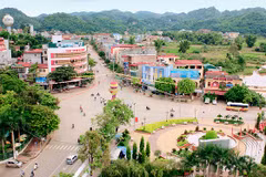 Son La improves competitiveness for business development 
