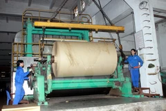 Indonesian embassy promotes palm oil, paper trade with Vietnam