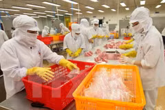 Seafood exporters fear new US, EU regulations on illegal fishing 