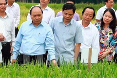 An Giang asked to improve food products for export