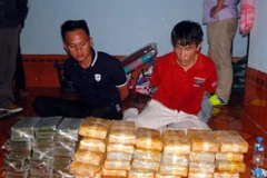 Vietnam, Laos bust major drug ring