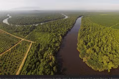 Indonesian firms pay heed to environment protection 