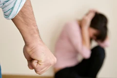 Vietnam promotes fight against domestic violence