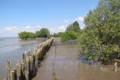 Environmental data could go on sale