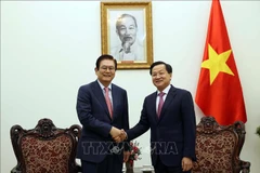 Deputy Prime Minister Le Minh Khai (R) and Lee Sang-Woon, Vice Chairman and COO of Hyosung Corporation, at their meeting in Hanoi on May 10. (Photo: VNA)