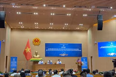 At the conference (Photo: VNA)
