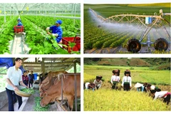 A nationwide rural and agricultural census will begin on July 1 next year, aiming to gather comprehensive data on various aspects, including the current status of agro-forestry-fishery production, rural conditions, and rural residents. (Photo: baochinhphu.vn)
