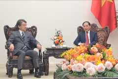 Deputy Prime Minister and Minister of Foreign Affairs Bui Thanh Son (R) and Chairman of the Board of Directors of the Japan Bank for International Cooperation (JBIC) Maeda Tadashi at their meeting in Hanoi on December 4 (Photo: VNA)
