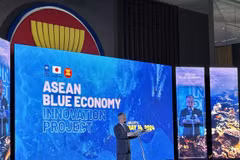 Resident Representative of UNDP Indonesia Norimasa Shimomura speaks at the lauch of the ASEAN Blue Economy Innovation Project in Jakarta on May 14. (Photo: VNA)