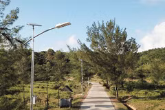 Solar-powered streetlights from the lighting project are installed for testing along a road to Mong Rong rock beach in Co To island district, Quang Ninh province. (Photo: rangdong.com.vn)