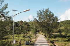Solar-powered streetlights from the lighting project are installed for testing along a road to Mong Rong rock beach in Co To island district, Quang Ninh province. (Photo: rangdong.com.vn)