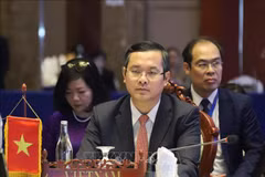 Deputy Minister of Education and Training Nguyen Van Phuc at the ASEAN education ministerial conference on equitable access to ECCE held in Laos on May 15. (Photo: VNA)