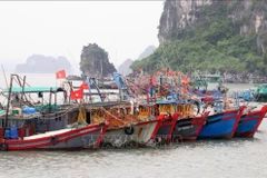Fishing vessels dock at a port in Quang Ninh (Photo: VNA)