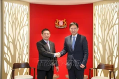 Minister of Finance Ho Duc Phoc (L) and Singaporean Second Minister for Finance Chee Hong Tat at their meeting in Singapore on August 5. (Photo: VNA)