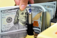 With the current trading band of +/- 5%, the ceiling rate applicable for commercial banks during the day is 25,457 VND/USD and the floor rate 23,033 VND/USD. (Photo: VNA)