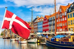  Book on Danish market published