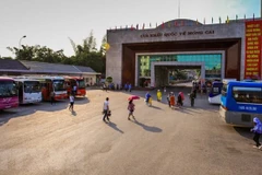 Customs clearance resumed at border gates, crossings with China