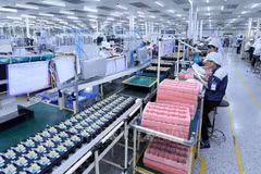 Guidelines on supervision, assessment of foreign investment issued 
