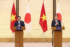 Japanese gov’t attaches great importance to ties with Vietnam: expert