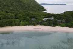 Ba Ria – Vung Tau creates breakthroughs for sea, island tourism