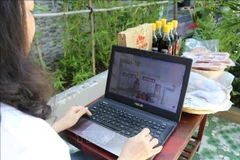 Programme boosting e-commerce development in Central Highlands