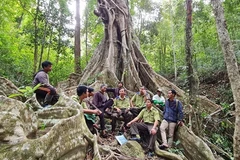 Relentless efforts to protect Kon Ha Nung biosphere reserve