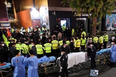 Vietnamese citizen among dead in Halloween stampede in RoK 