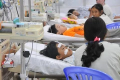 Health Ministry requests vigilance over increase in dengue fever cases