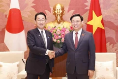 Japanese PM attaches importance to enhancing parliamentary ties with Vietnam