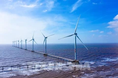 British expert highlights Vietnam’s cooperation potential in energy transition
